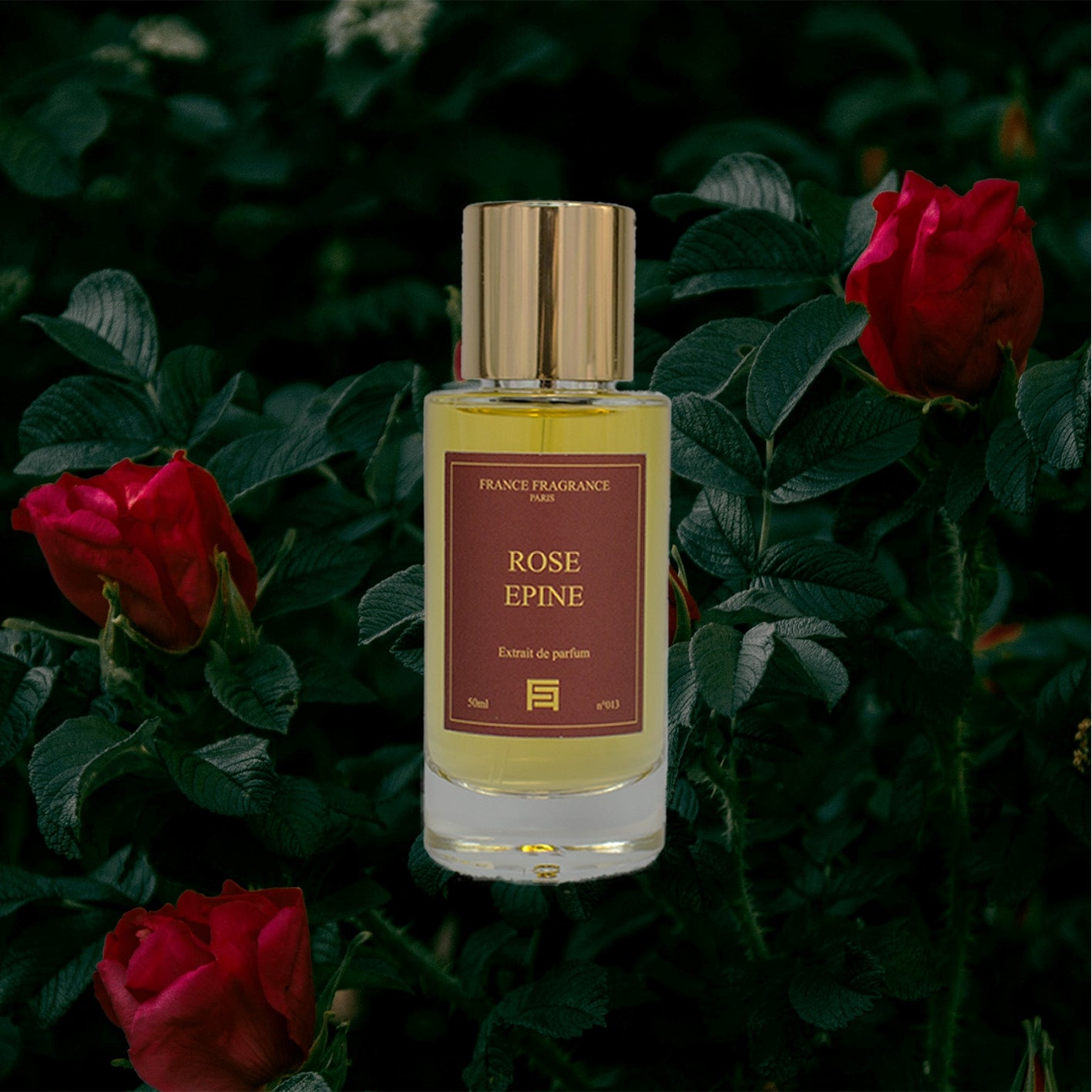 Rose Epine